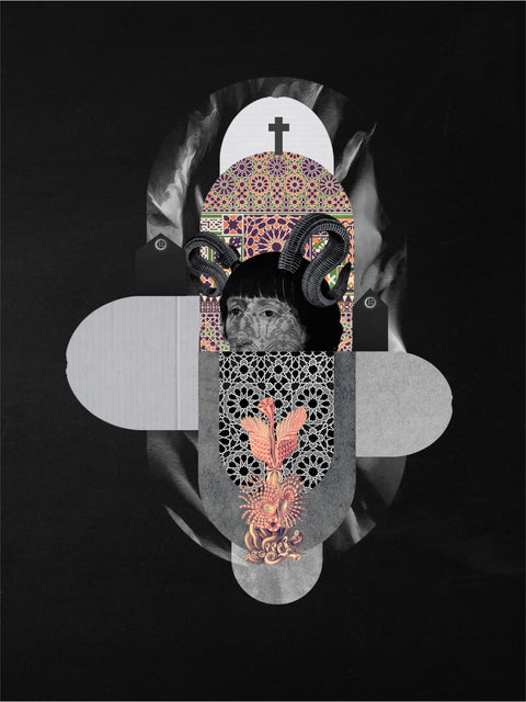 Demonia, collage digital de CASACOLLAGE, 30 × 40 cm. Retrato con cuernos curvos, patrones y flores sobre fondo negro.