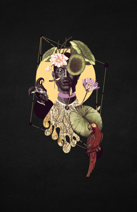 Semilla nocturna, collage de CASACOLLAGE. Selección 2, obra S2-21.