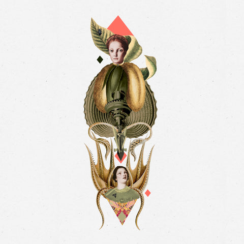 Doble raíz, collage de CASACOLLAGE. Selección 2, obra S2-27.